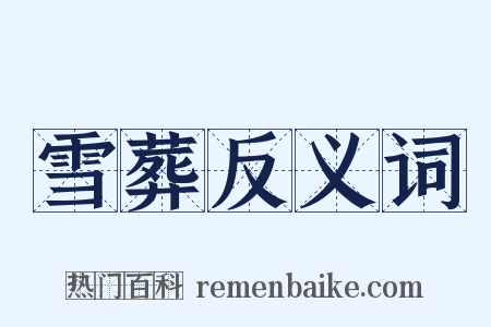 雪葬反义词是什么意思的图片
